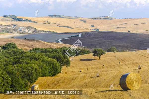 Val,d,Orcia（托斯卡納）景觀