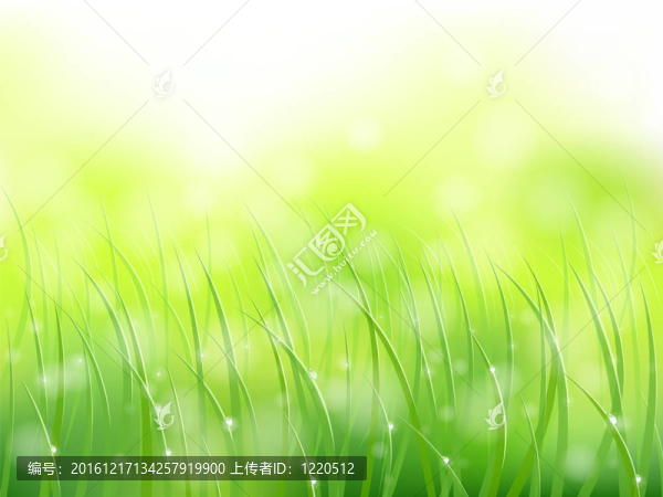 早晨的陽光草早露softfocus模式