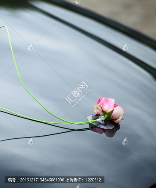 婚禮慶典用的優(yōu)雅汽車