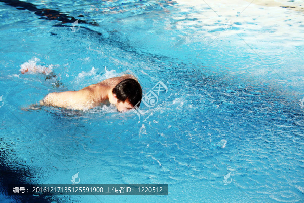 蝴蝶