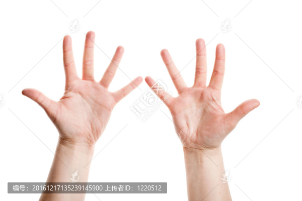 女人的手掌