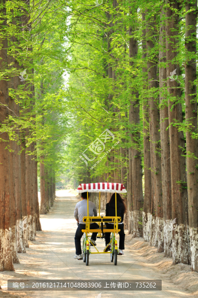 騎雙人自行車的情侶