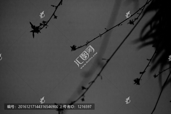 細(xì)夜幽蘭