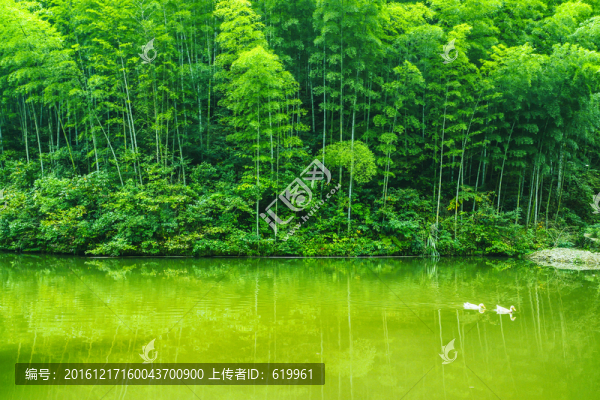 木坑竹海