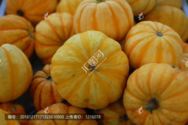 黃南瓜