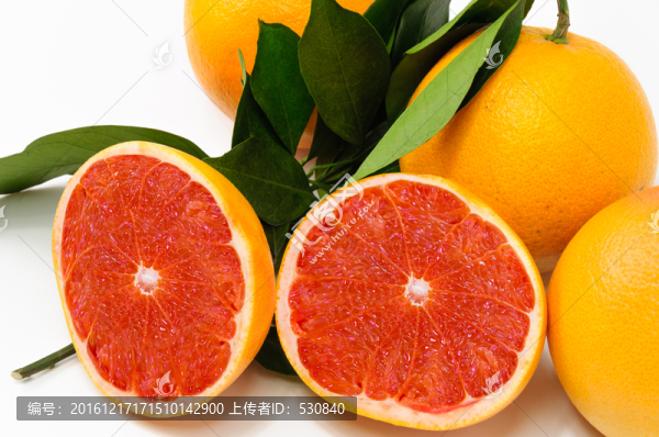 血橙