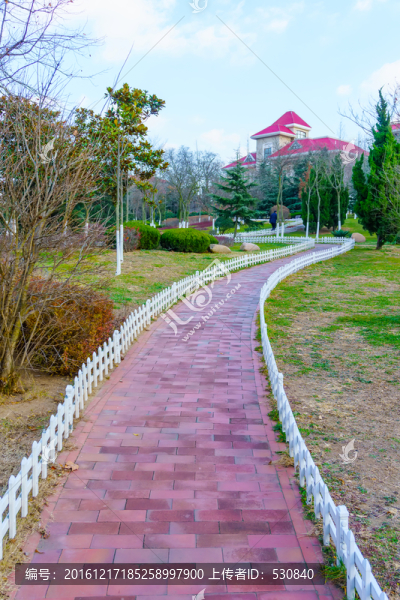 公園小路