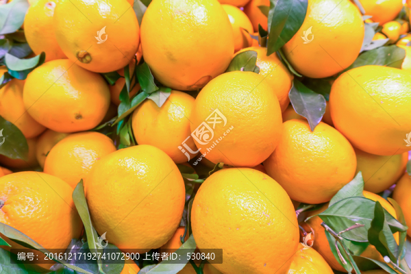 橙子