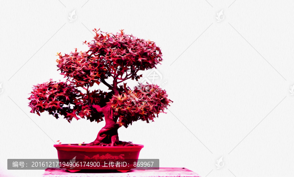 盆景仿油畫,裝飾畫