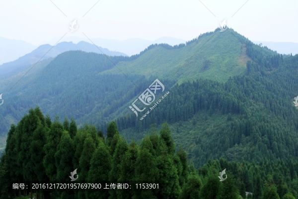 萬山叢林