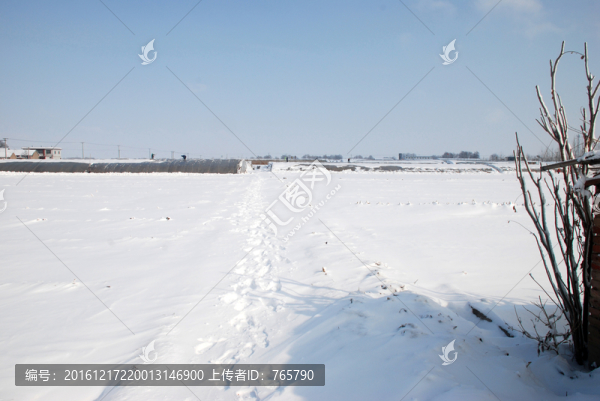雪地