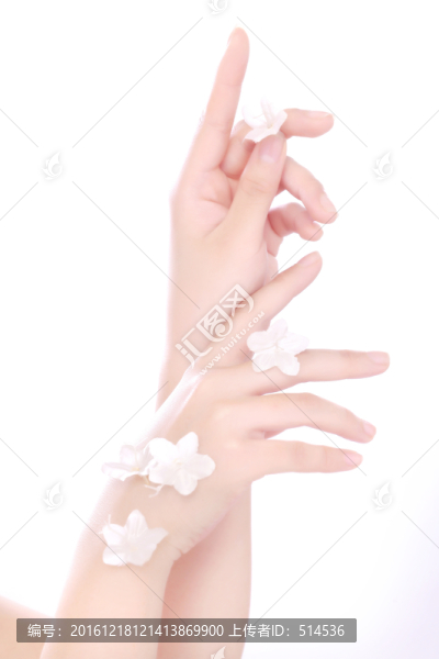 手模特美甲美手手模