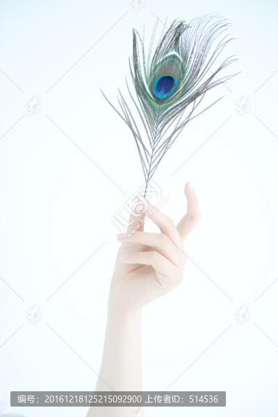 手模特美甲美手手模
