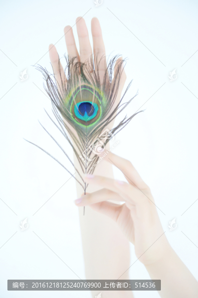 手模特美甲美手手模