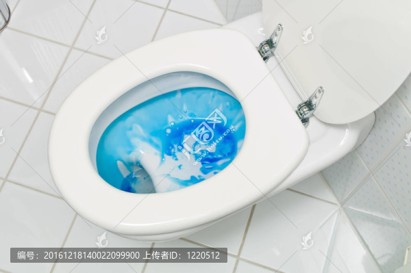 浴室里的廁所被打掃了。家務(wù)和清潔