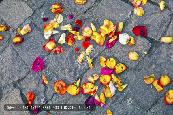婚禮后鮮花躺在地上
