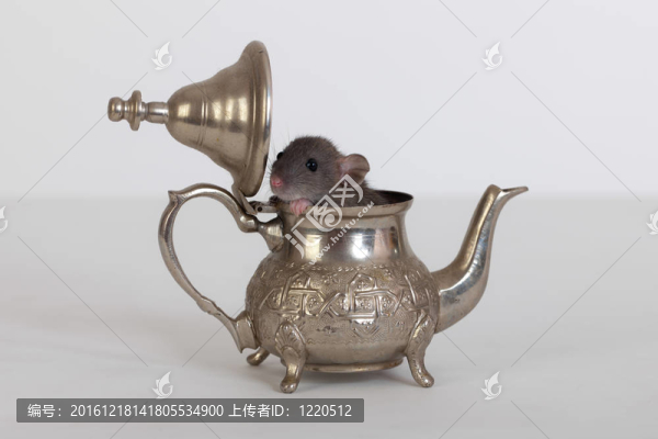 它隱藏