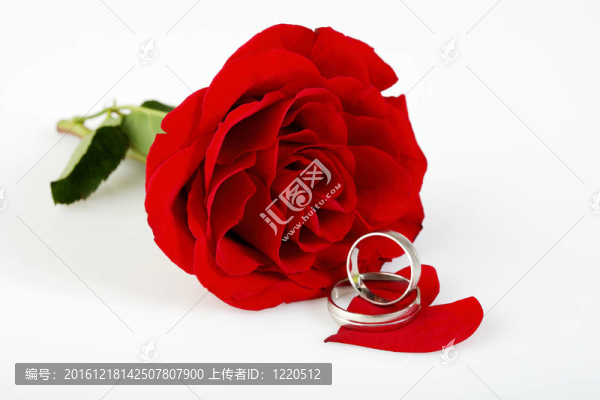 紅玫瑰和結(jié)婚戒指