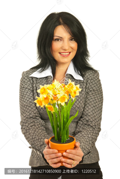 水仙花的女商人提供鍋