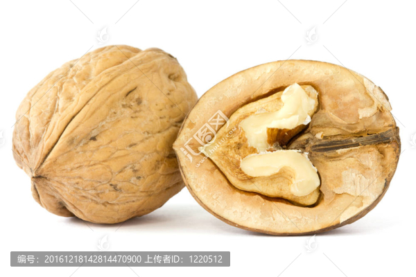 白底核桃