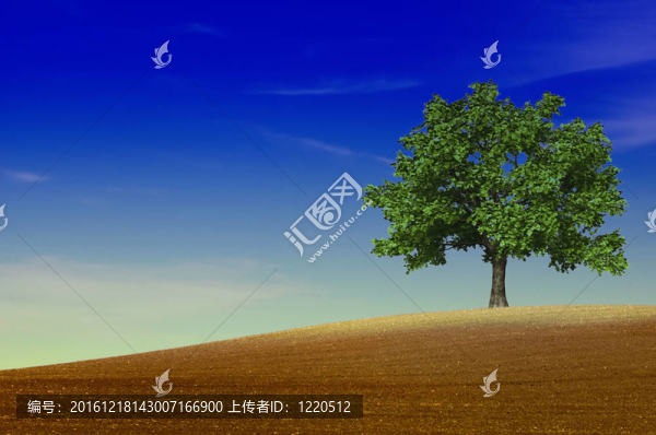 田野里的一棵綠色的樹