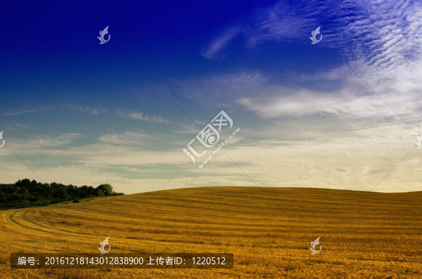 收獲后的田野