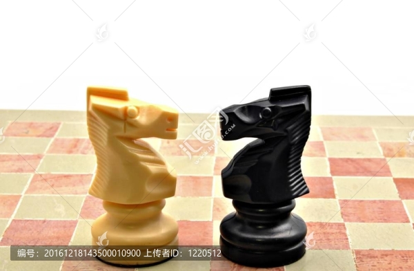 騎士的白色和黑色