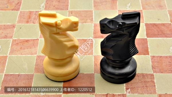 騎士的白色和黑色