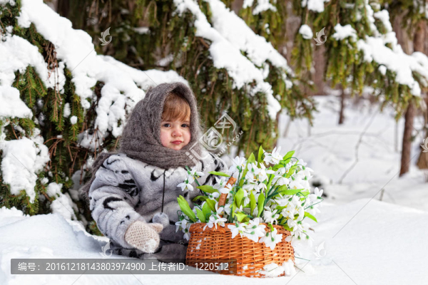 在一個大籃子雪花蓮冬木的小女孩