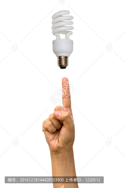 手指上的鱗莖