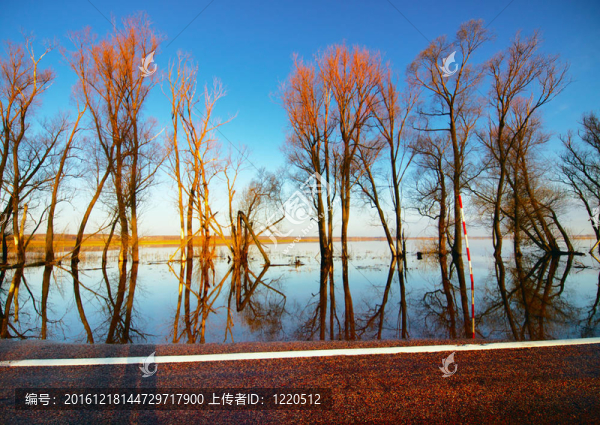 道路被水淹沒