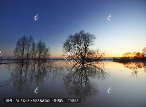 在奧卡河洪水