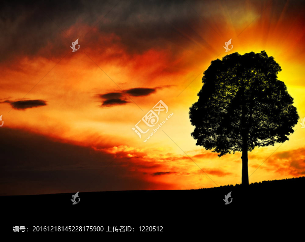 在山上夢幻般的早晨；抽象背景