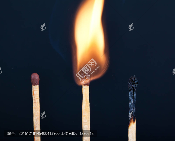 不同燃燒階段的樹匹配