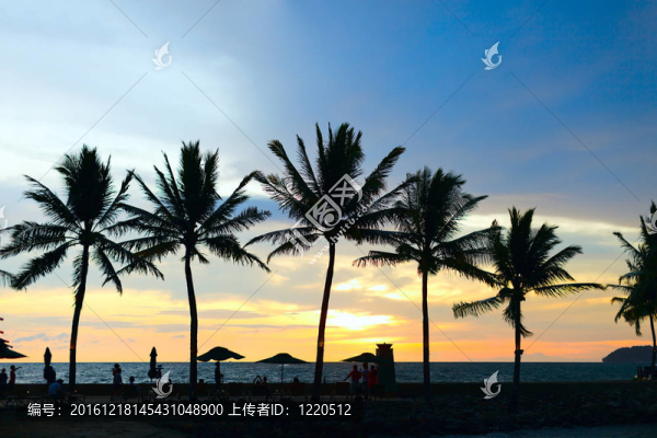 日落熱帶度假村