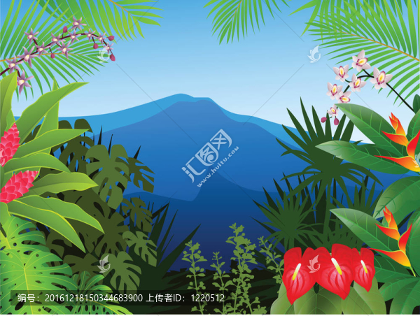 熱帶森林背景