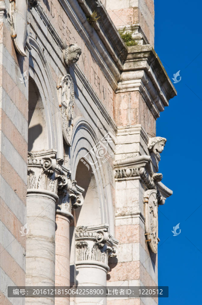 圣喬治大教堂的鐘樓。Ferrara。Emilia,Romagna。意大利.