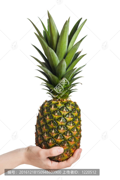 菠蘿手拿水果