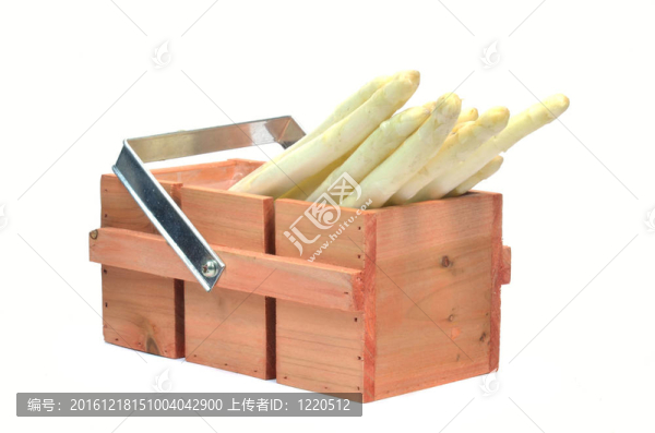 鮮蘆筍