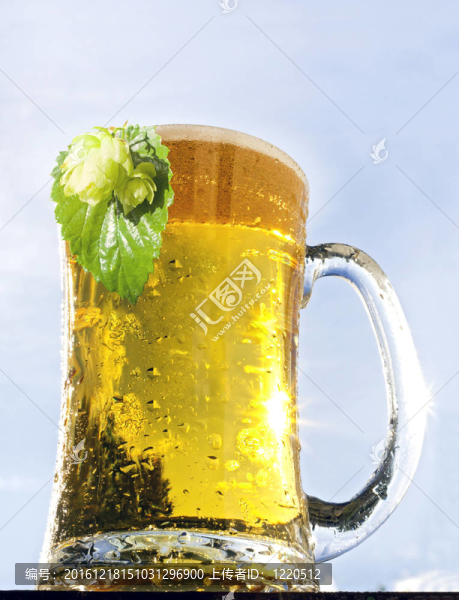 啤酒啤酒杯
