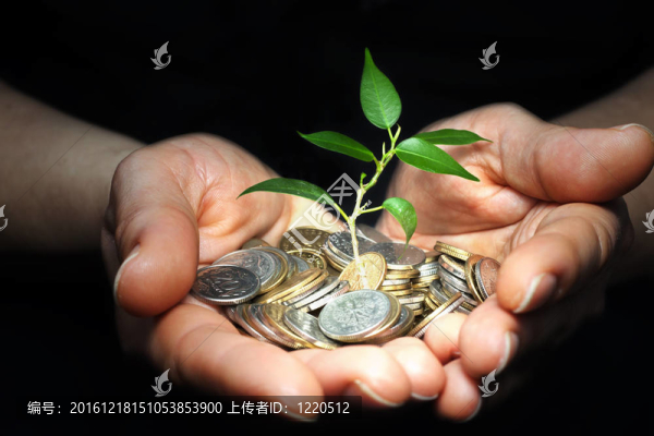 良好的投資理財(cái)理念