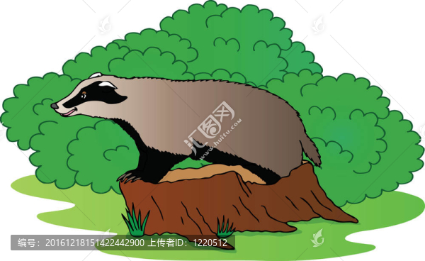獾在布什旁邊
