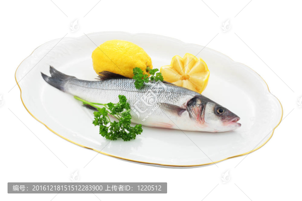 新鮮的鱸魚