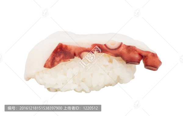 日本壽司與肉章魚在白色背景
