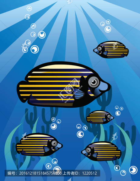 條熱帶魚