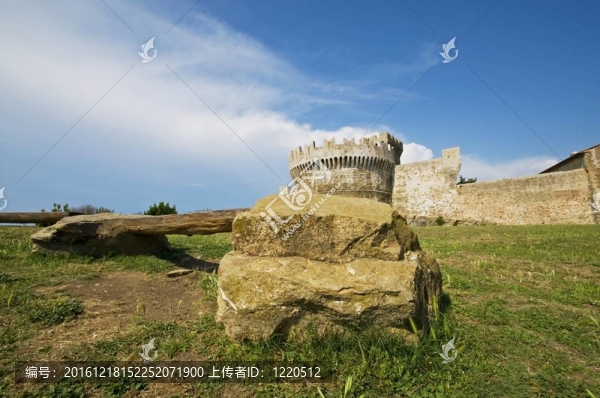 Populonia