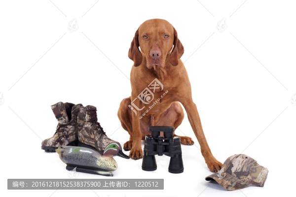 準備好獵槍