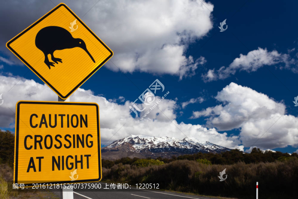 獼猴桃交叉道路標(biāo)志和火山Ruapehu；NZ