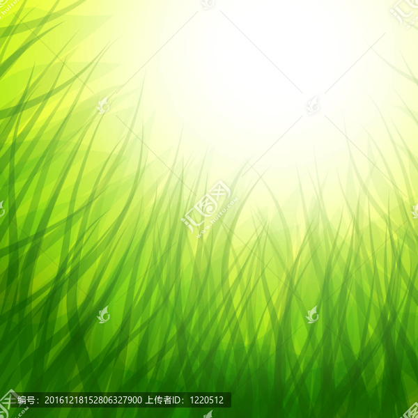 背景草