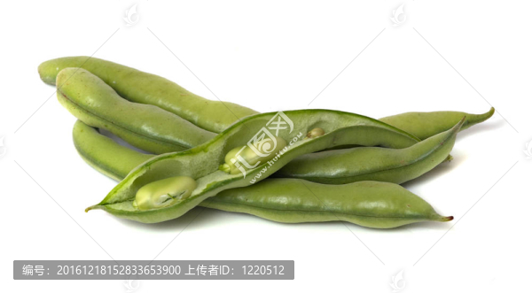 白底綠豆